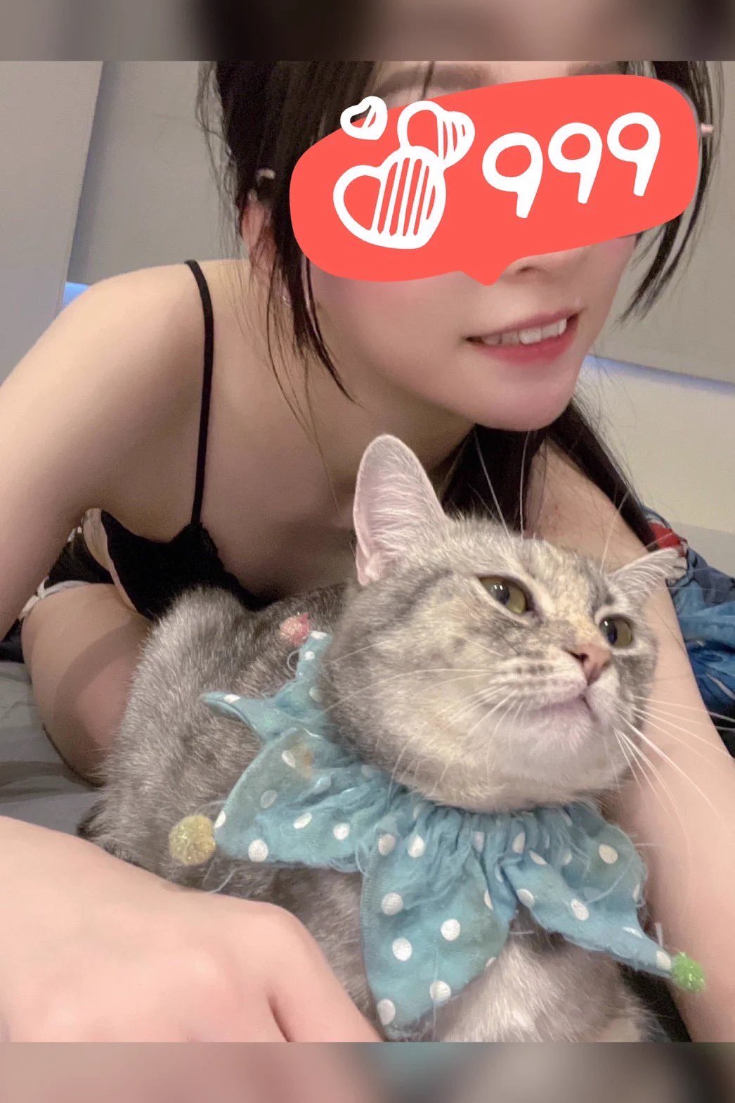 萬聖節🎃美女🧏🏻‍♀️配野獸🧌我是野獸🐱是美女🤤有人要一起過萬聖節嗎🥹🥹#萬聖節 #貓咪 #喵 https://t.co/syg3VBKloy
