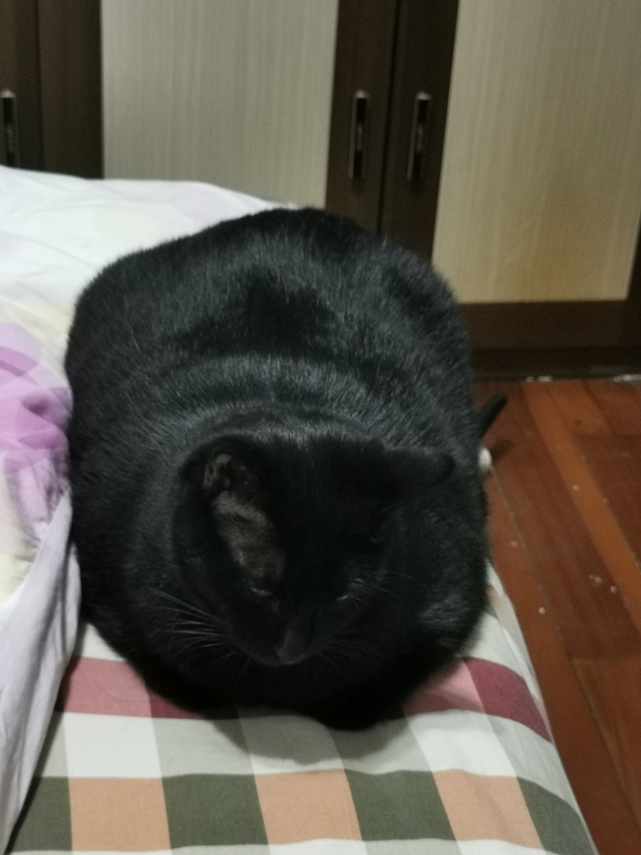 冬天限定的双开门小胡 https://t.co/LcLcJJuj73