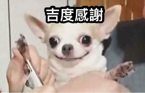 感謝世界上所有理性的女孩子們🥺有一時的情緒激動能理解最後理性有回來就好…理性的女孩子讓世界和平，超讚！#嚇懵了 #但結局很棒 https://t.co/KbH4IeDdO0