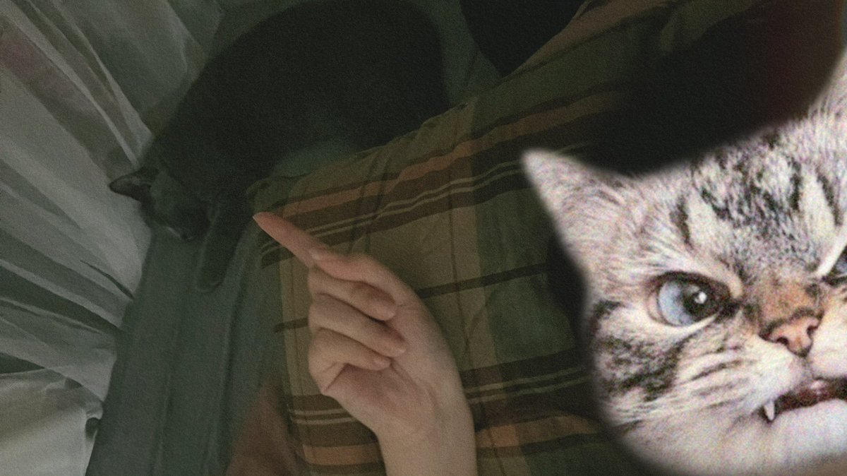 回家！！ https://t.co/jJ5rQwxq5P