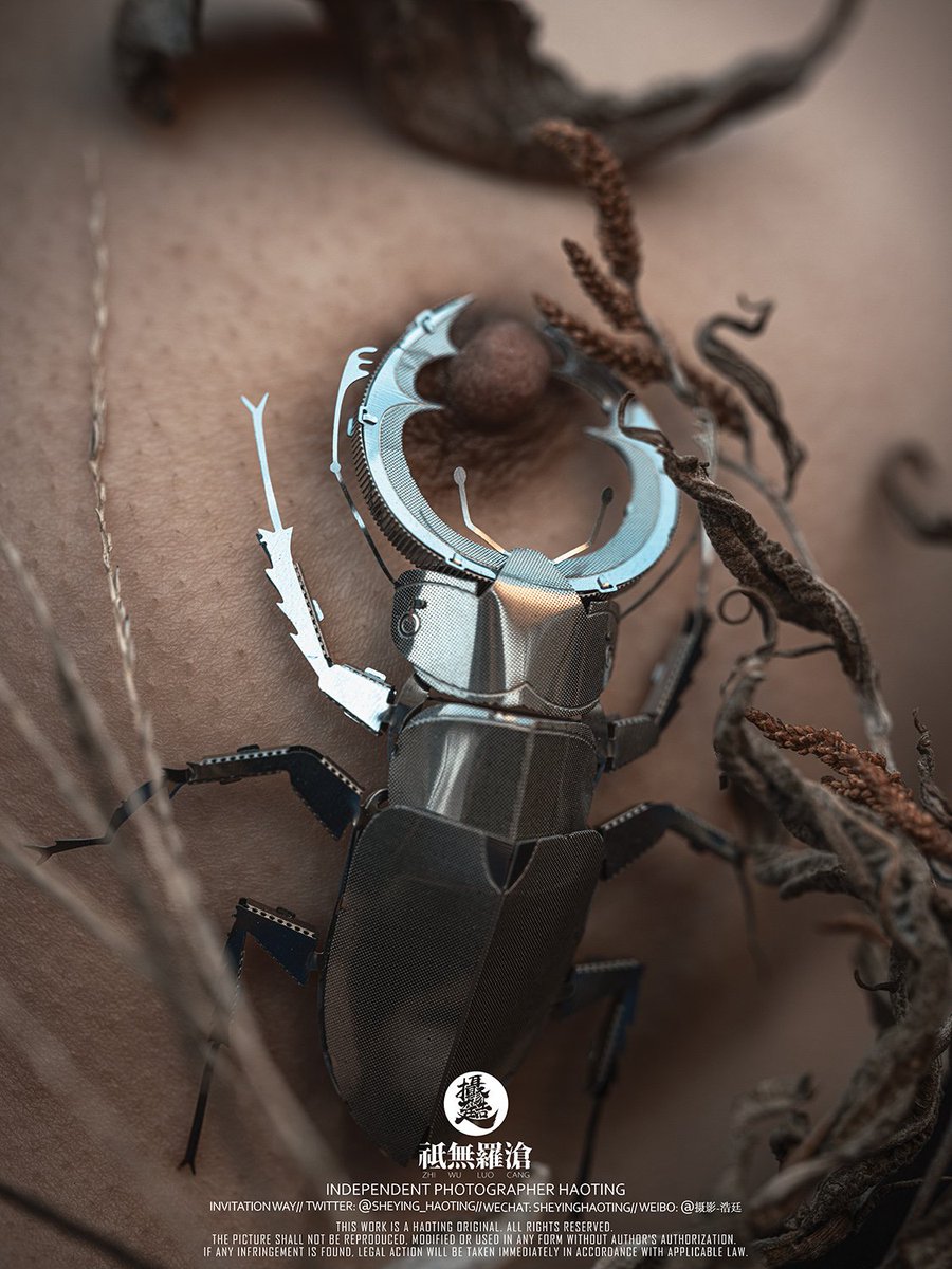 祗無羅滄/科技与狠活

#约拍 #人体艺术 #独立摄影 
#武汉约拍 #情绪 #人体摄影 
#武汉线下 #武汉学生 #武汉网红 
#武汉交友  #反差小姐姐
#HAOTING #摄影浩廷 #浩廷
@Fengsiyuan @BY404_ https://t.co/QbkGOQ17Qh