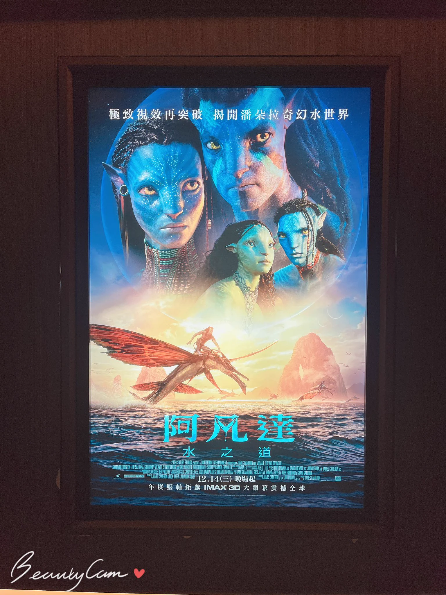 睽違十二年阿凡達終於可以看了，看完非常過癮，切記一定一定要去看3D不然會後悔，整個色調場景非常精緻看了好感動🥲。 https://t.co/rbNRUYMZBt