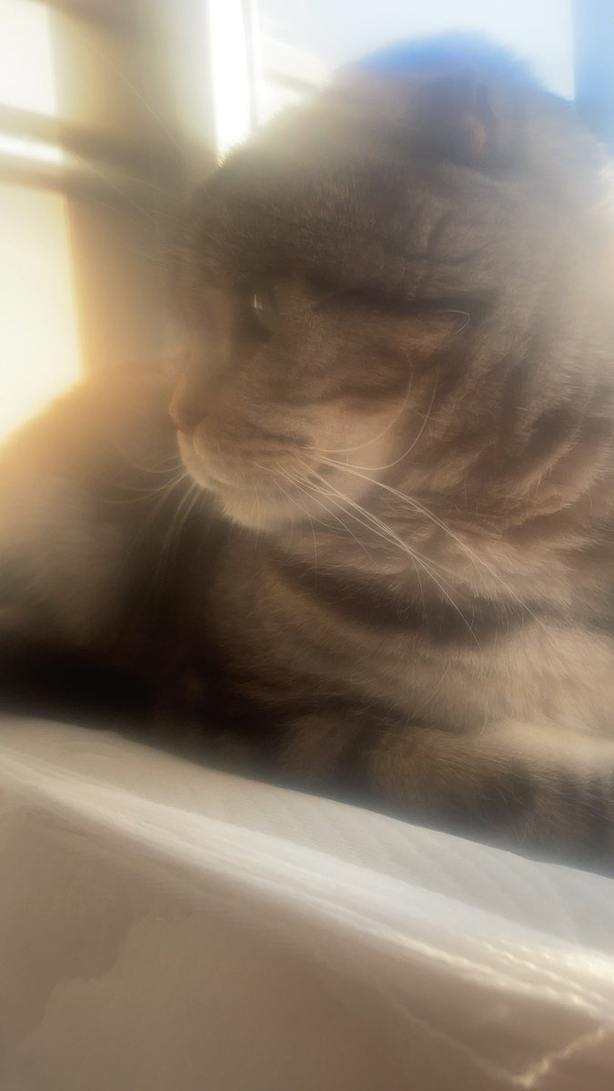 答非所问
即使答案 https://t.co/tiDH5nAZn5