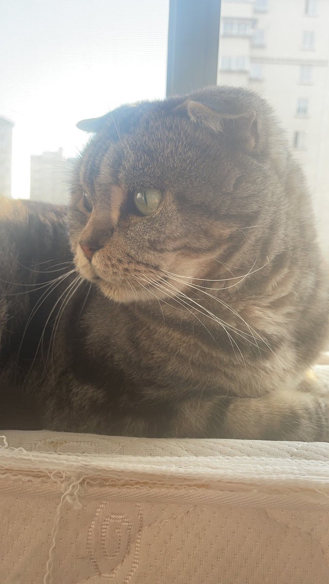 答非所问
即使答案 https://t.co/tiDH5nAZn5