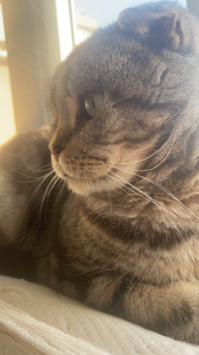 答非所问
即使答案 https://t.co/tiDH5nAZn5