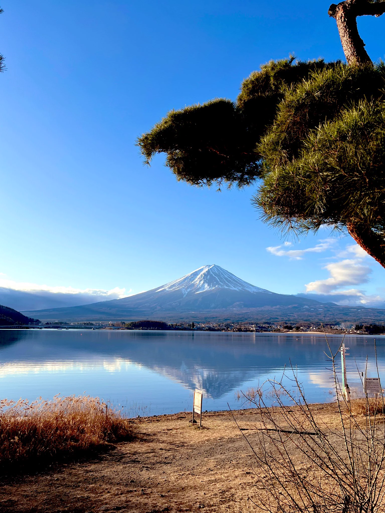 富士山第二彈，再換一家溫泉旅館看見更雄偉的富士山🗻，內心滿滿的感動🥰 https://t.co/HhH7rzx9xA