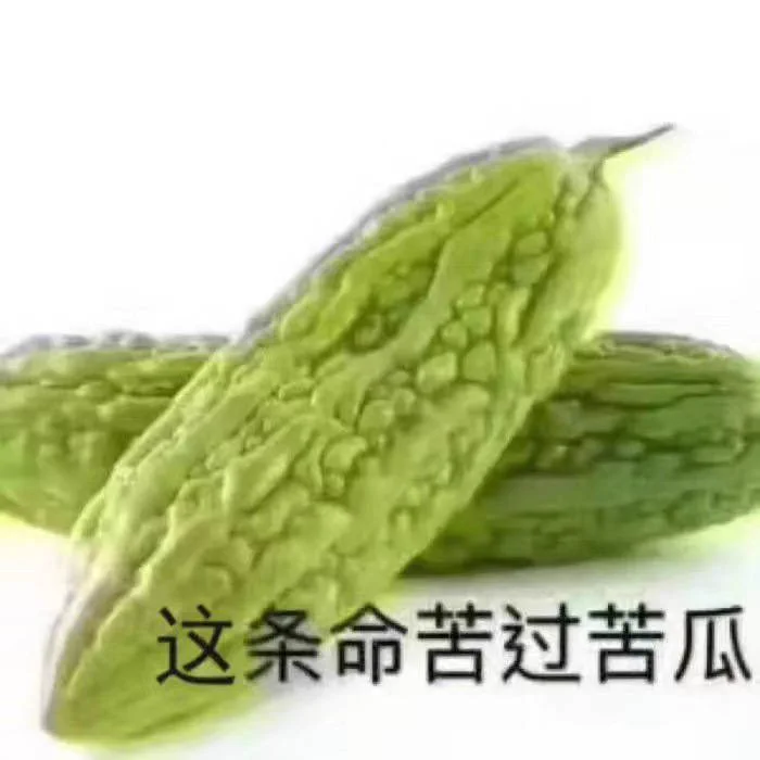 @scpaylb 你好可怜😰现实过的很不如意吗？靠网上喷粪获得快乐🥴 https://t.co/0uPsau8h2K