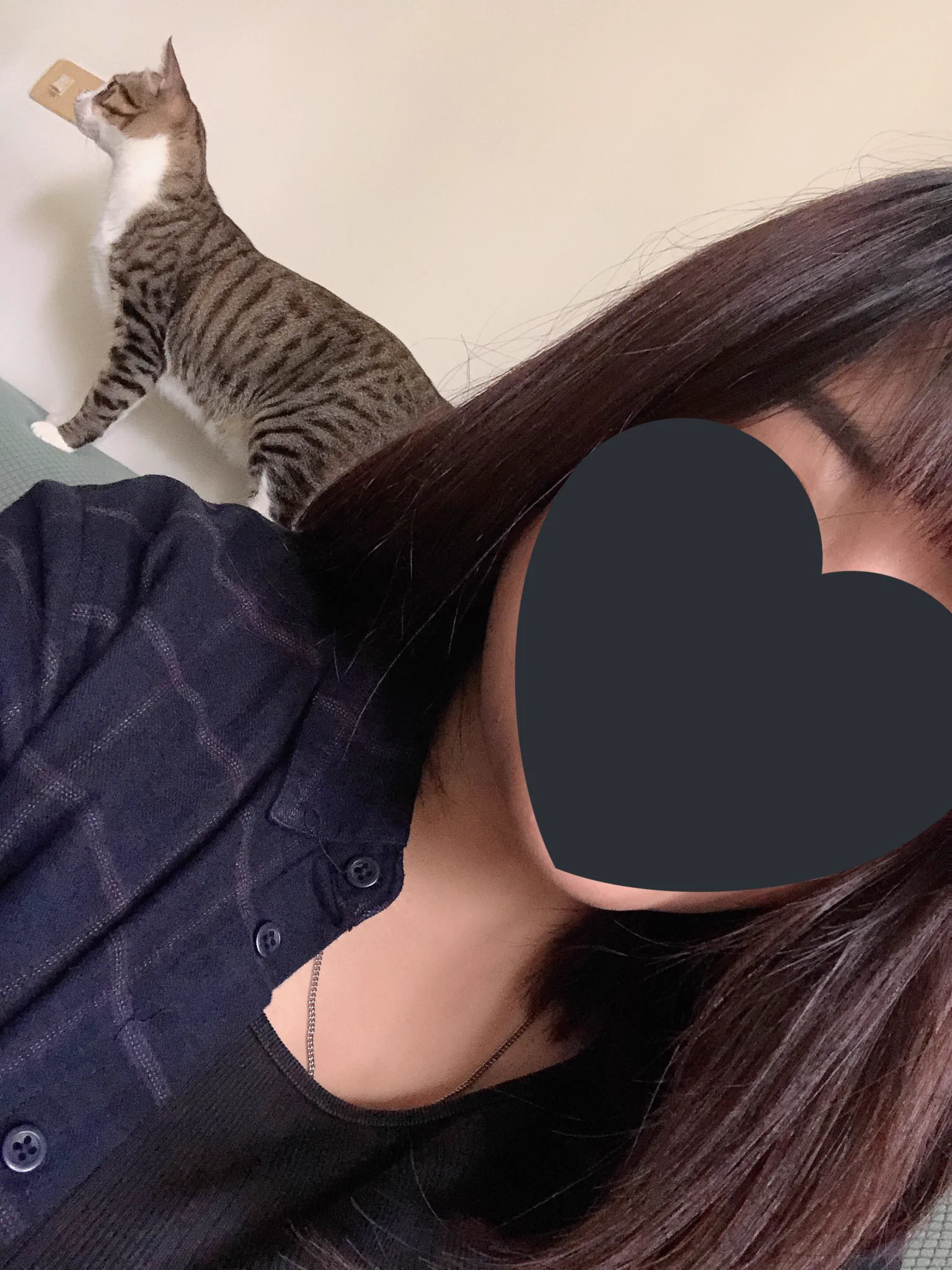 與貓咪開啟的新一天😊😊 https://t.co/oIdBIxbj65