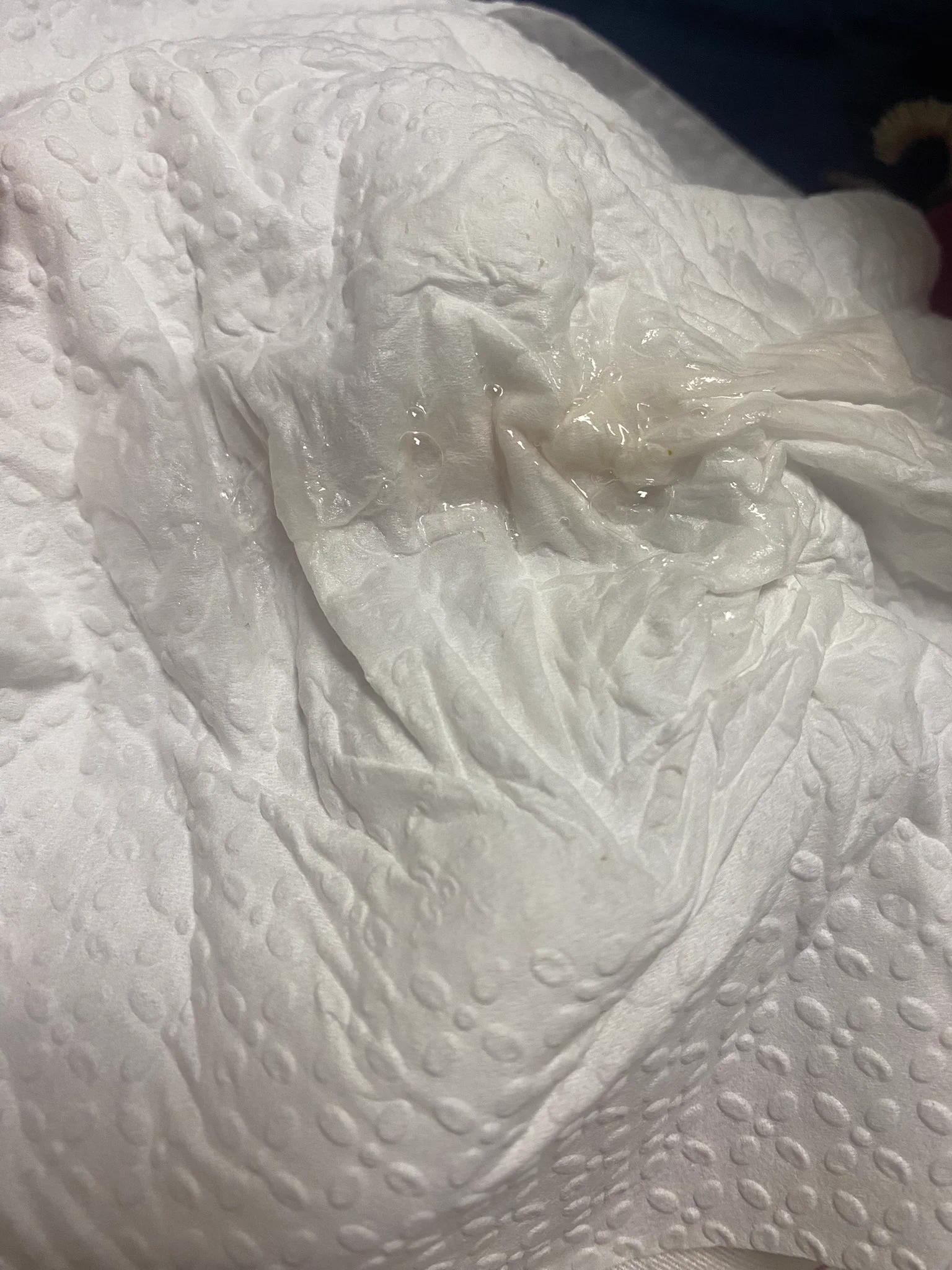 刚刚的音频是在美美自慰🌹能不能有xsh得看今天晚上我对象有无时间🌹 https://t.co/n0Q8DWk3Ld