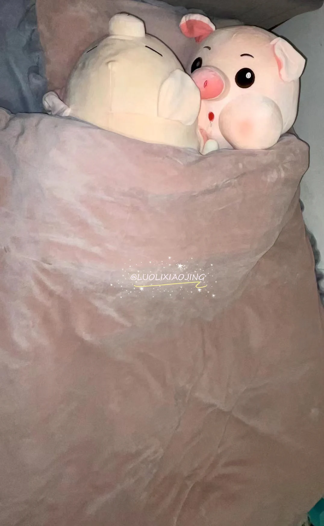 谁的床上还没有个可爱🐷呢 https://t.co/loGFtMKK4x
