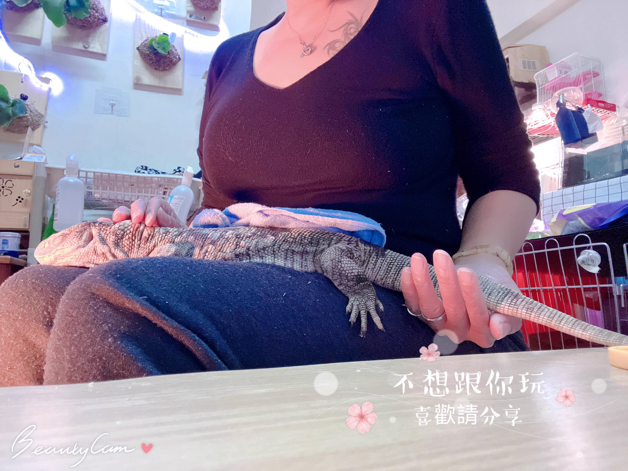 我叫睏寶（是隻草原巨蜥）為什麼呢？因為我超級愛睡，除了吃飯時間醒著，其他時間都在睡，媽咪會幫我泡澡完然後修修指甲我就能繼續好好睡💤#草原巨蜥目前應該有60cm持續長大中 https://t.co/bImtbLm0tQ