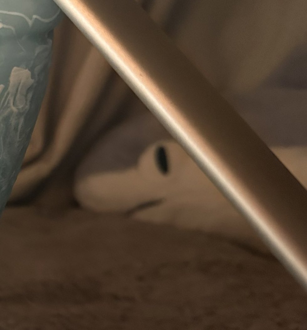 @vector46466957 我室友的表情都变成这样了！ https://t.co/ZqG1NAmMhP