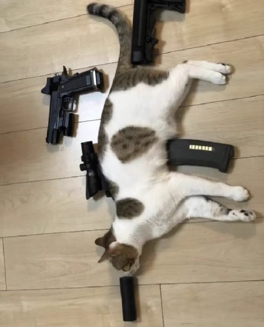 @ohdoggx wtf i have the same pic https://t.co/BfbNKHjYbP