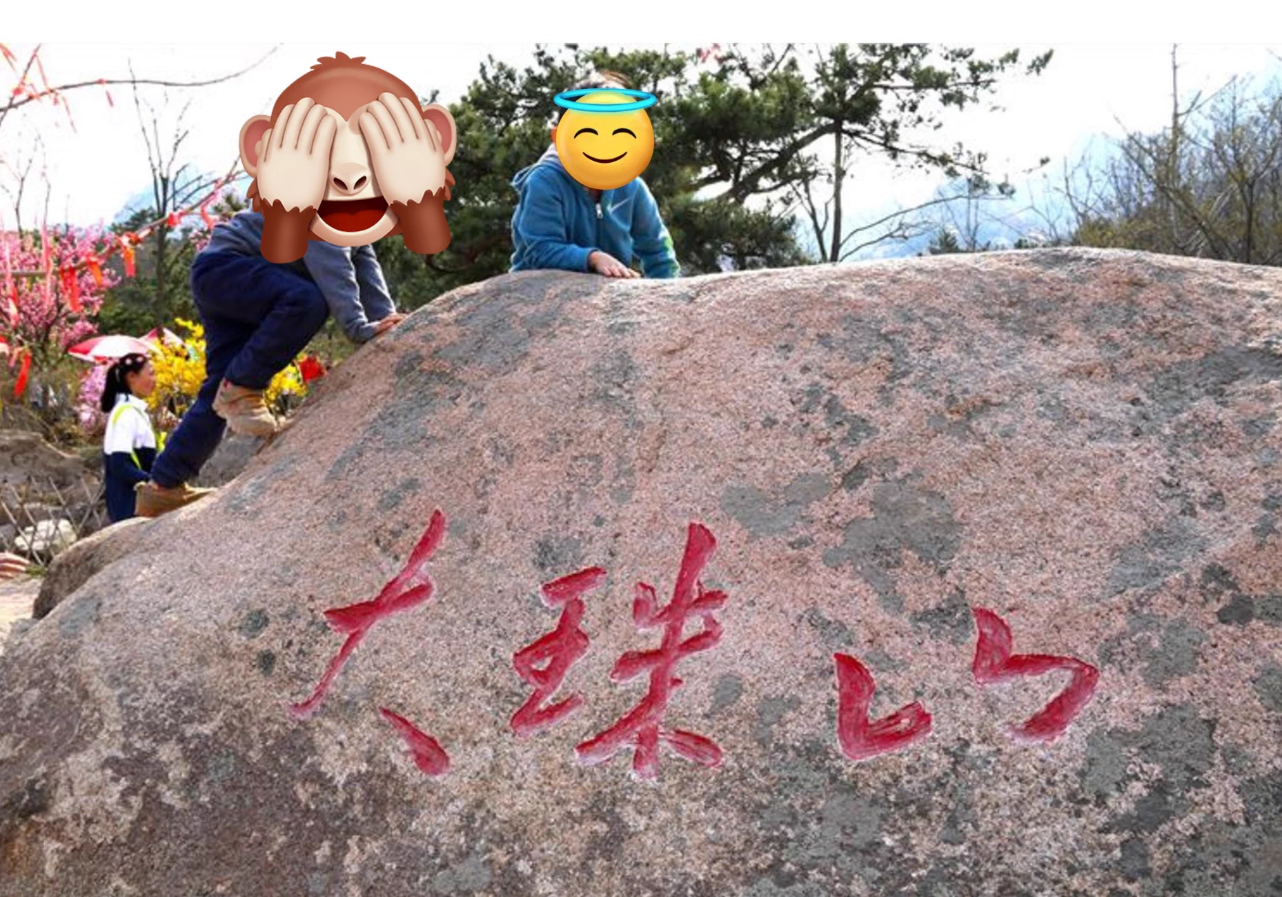 满山的花🌹真是美极了😊#青岛 #青岛线下 https://t.co/PQqJabnk5q