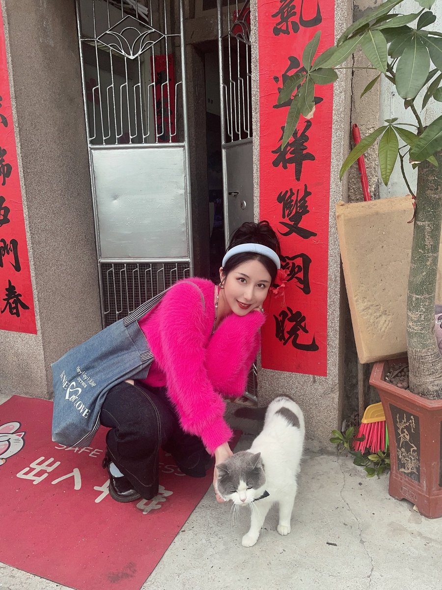 路过的小猫咪都会被我摸一把 https://t.co/7gnBW6zCO9
