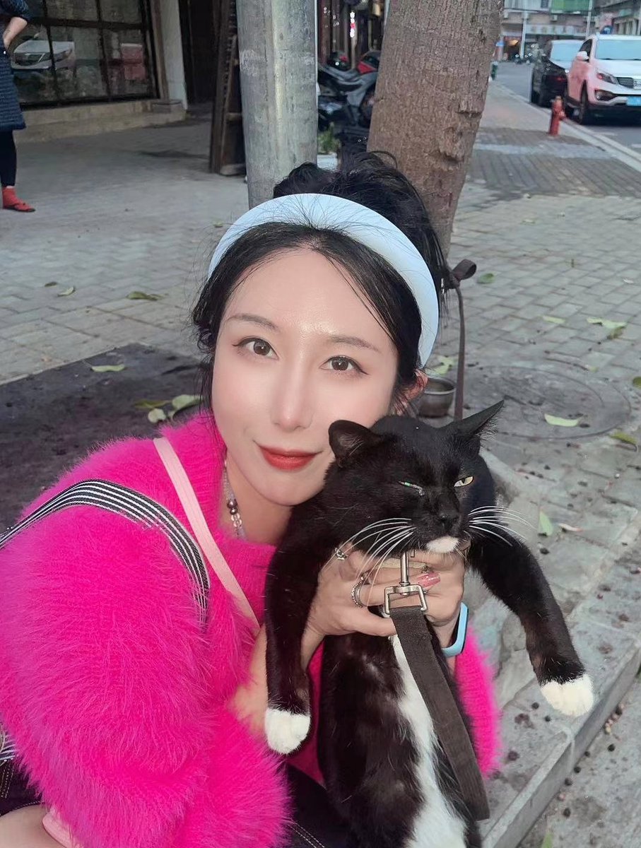 路过的小猫咪都会被我摸一把 https://t.co/7gnBW6zCO9