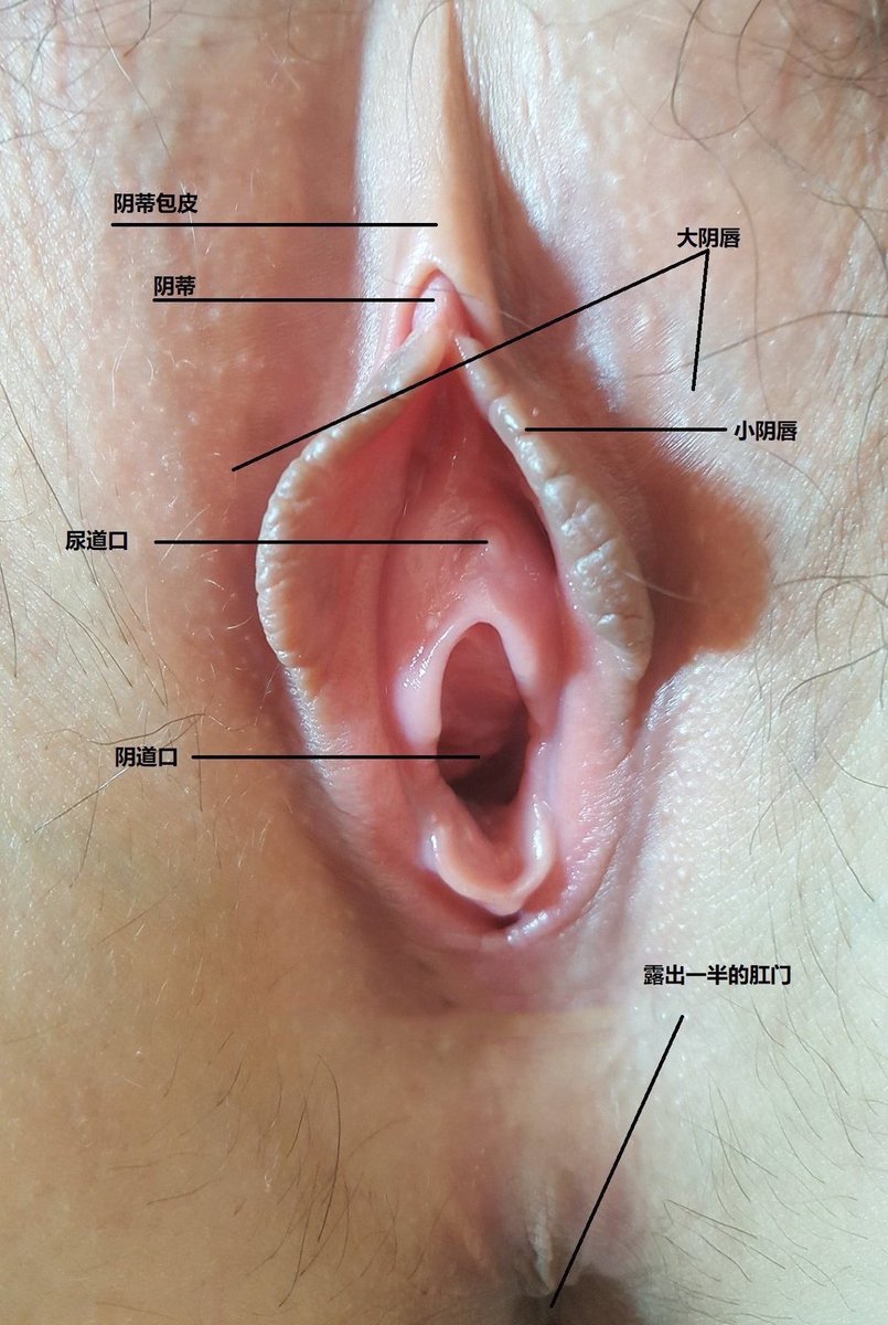有需要上生理课的哥哥吗？

 @Gongtengxn  @Gongtengxl https://t.co/Z0DrQKz45m