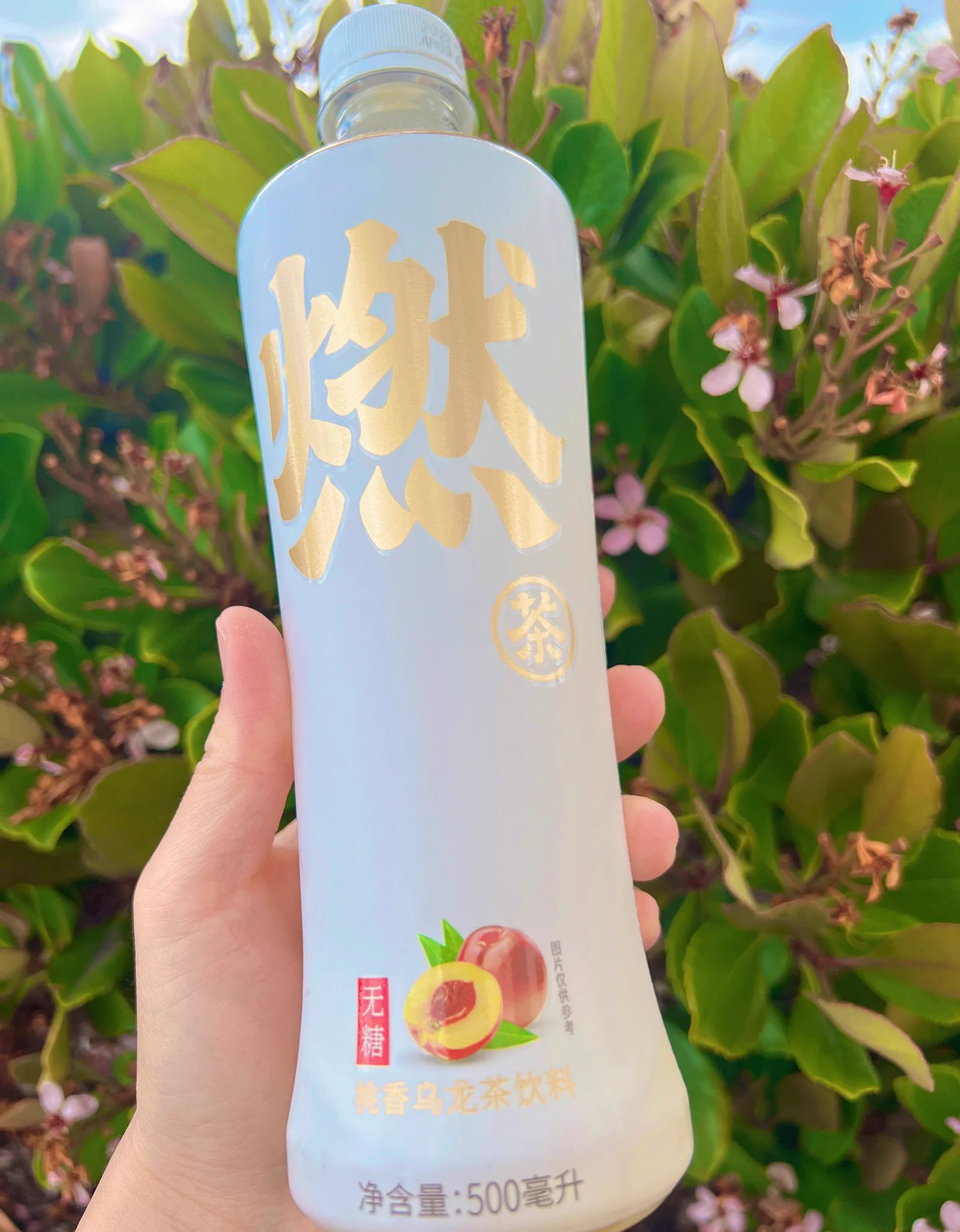 昨天临行前从主人那拿的桃香乌龙茶。很清香，好喝😊主人用桃子味的入浴剂泡完澡的大鸡巴，吃起来是不是也会有桃子的清香味道？🤭 https://t.co/M1LIvqn4Jy