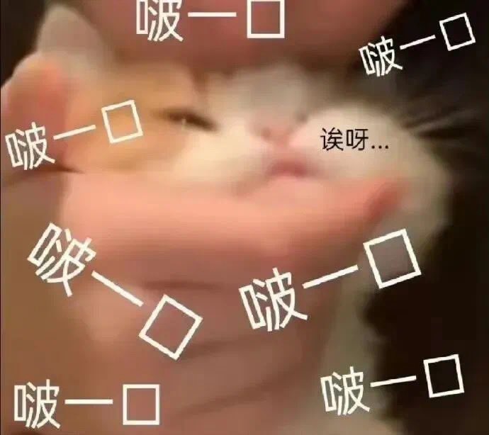 今天摸了好多次188的二头肌和胸肌
爽了 https://t.co/FTKKbIVHga