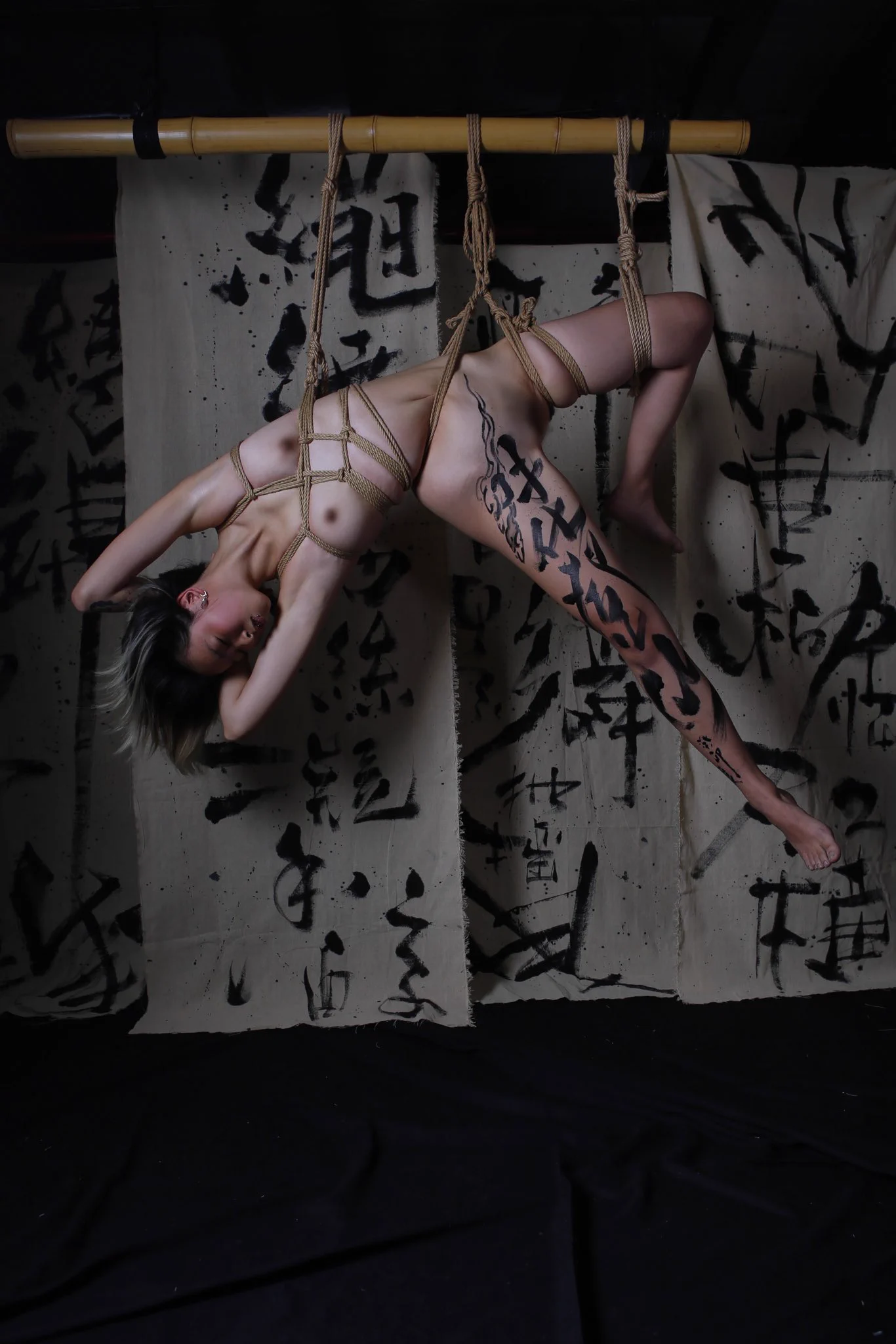 《字里行间》-2

Model：41
​Rigger&amp;photographer：Mosaic cat猫猫
​Calligrapher：野夫
​Location：Solocord https://t.co/OhdDN0zVev