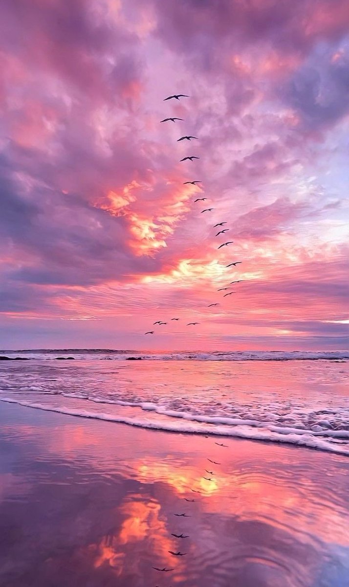 ocean sunset https://t.co/tbaImQ5vbq