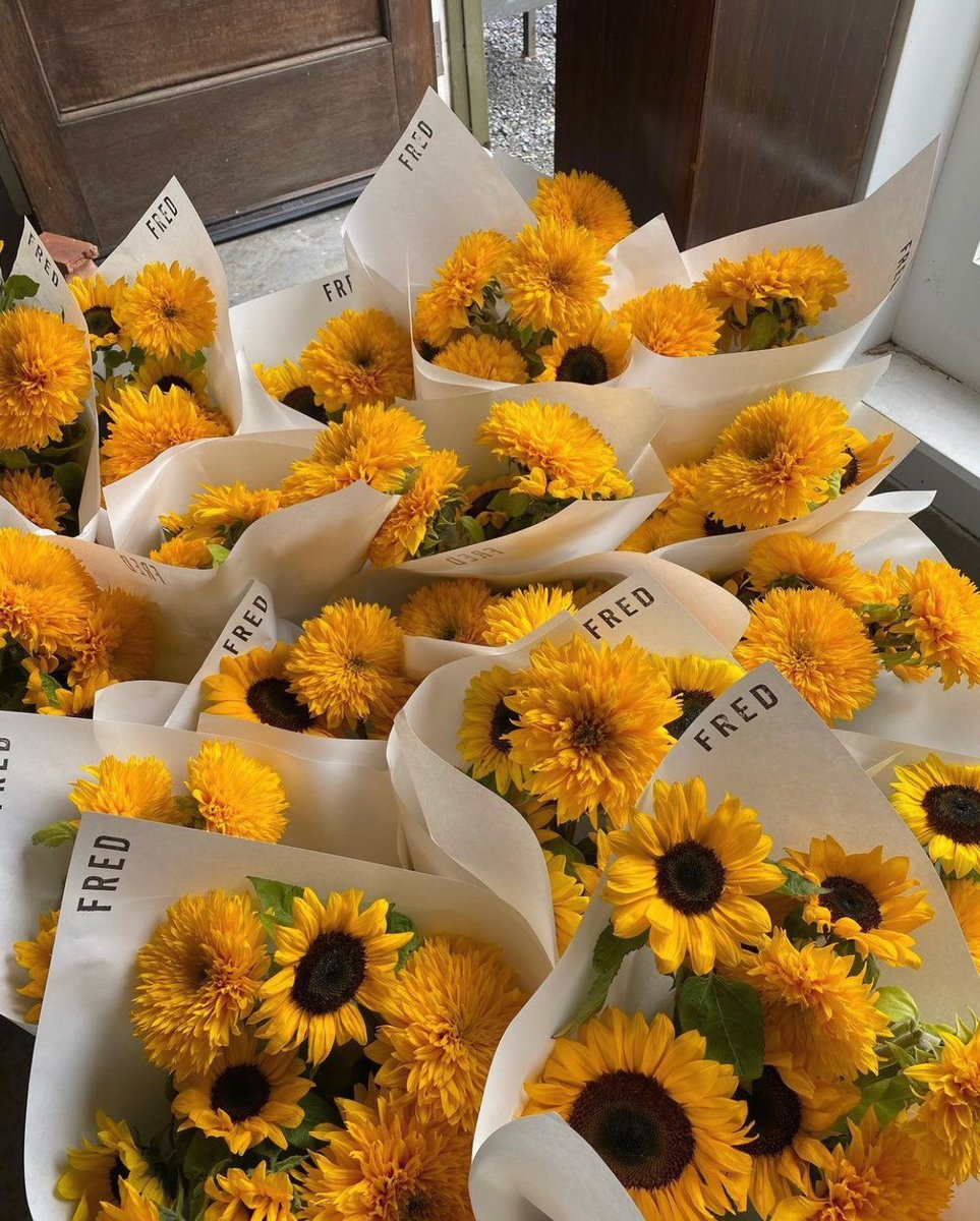 Sunflowers https://t.co/1CBkbmO1ML