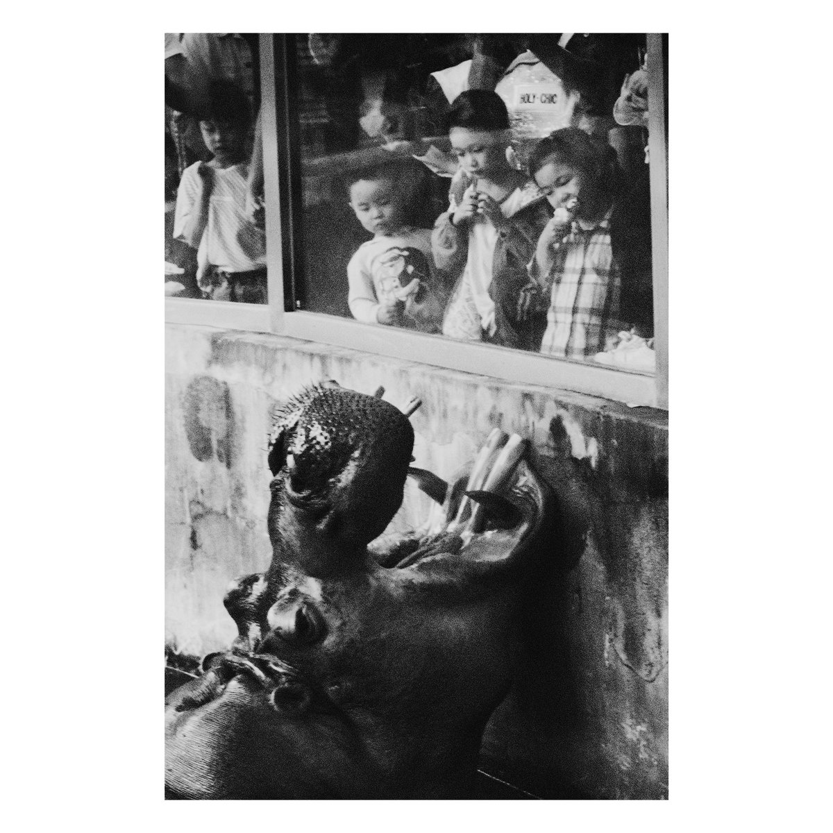 儿童节发一个以前照片吧。
没长焦，当时用的半画幅裁剪完90w像素，就只能搞黑白了。 https://t.co/GYsOHb8olZ