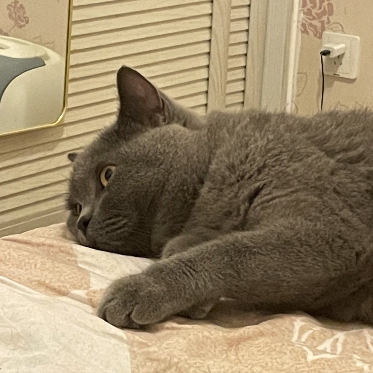 不能说是一模一样，但十有八九吧 https://t.co/rCatjx80uK