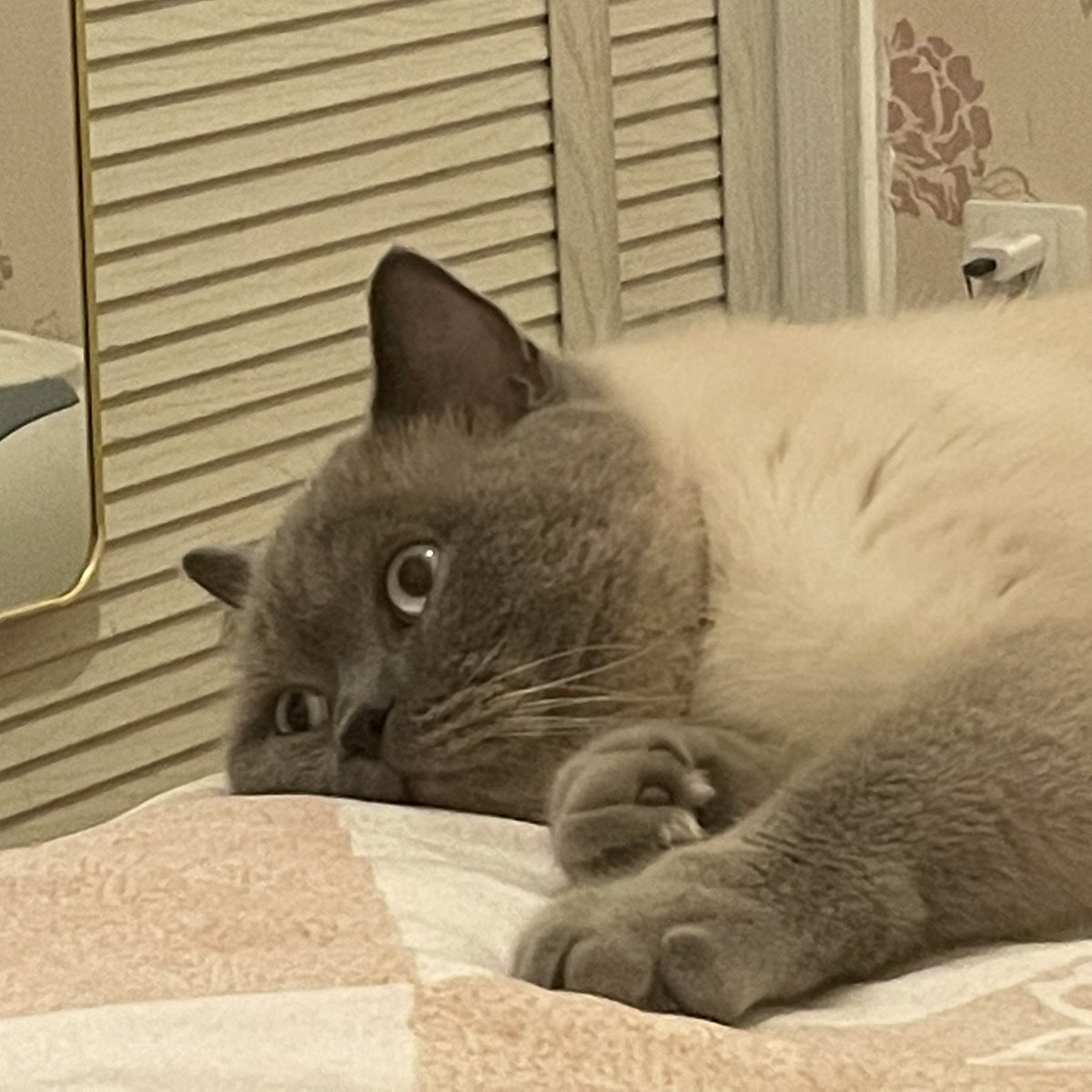 不能说是一模一样，但十有八九吧 https://t.co/rCatjx80uK