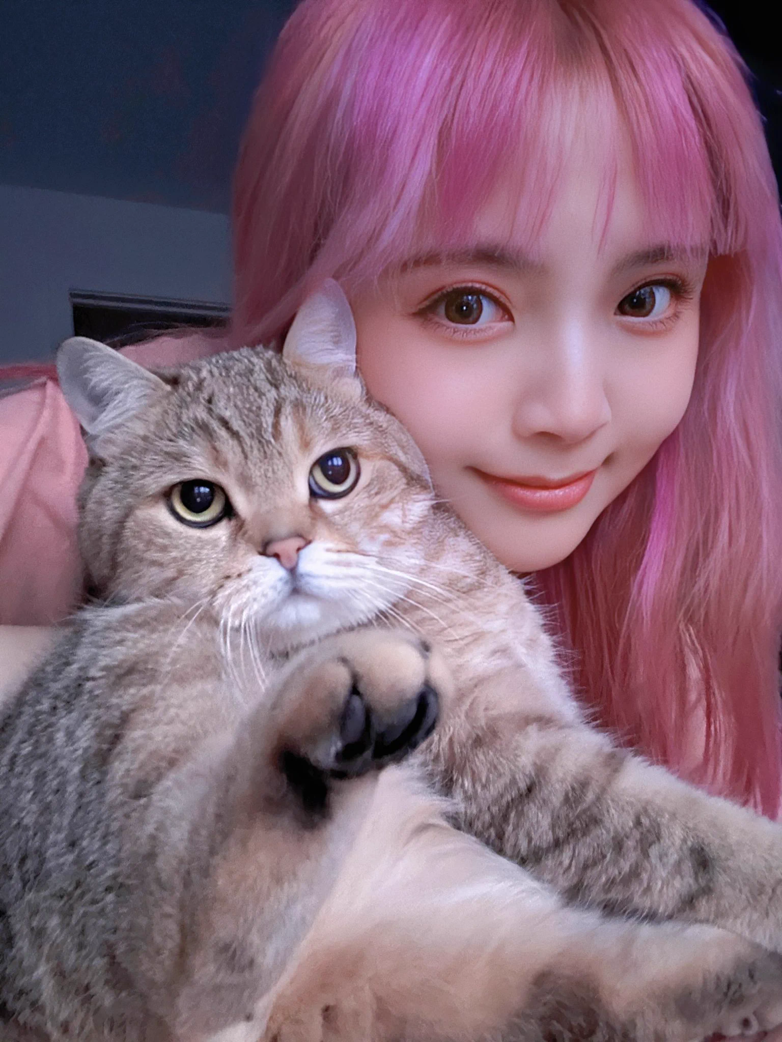 守护全世界最好的云烧和土豆 https://t.co/X8ZeFLMFvZ