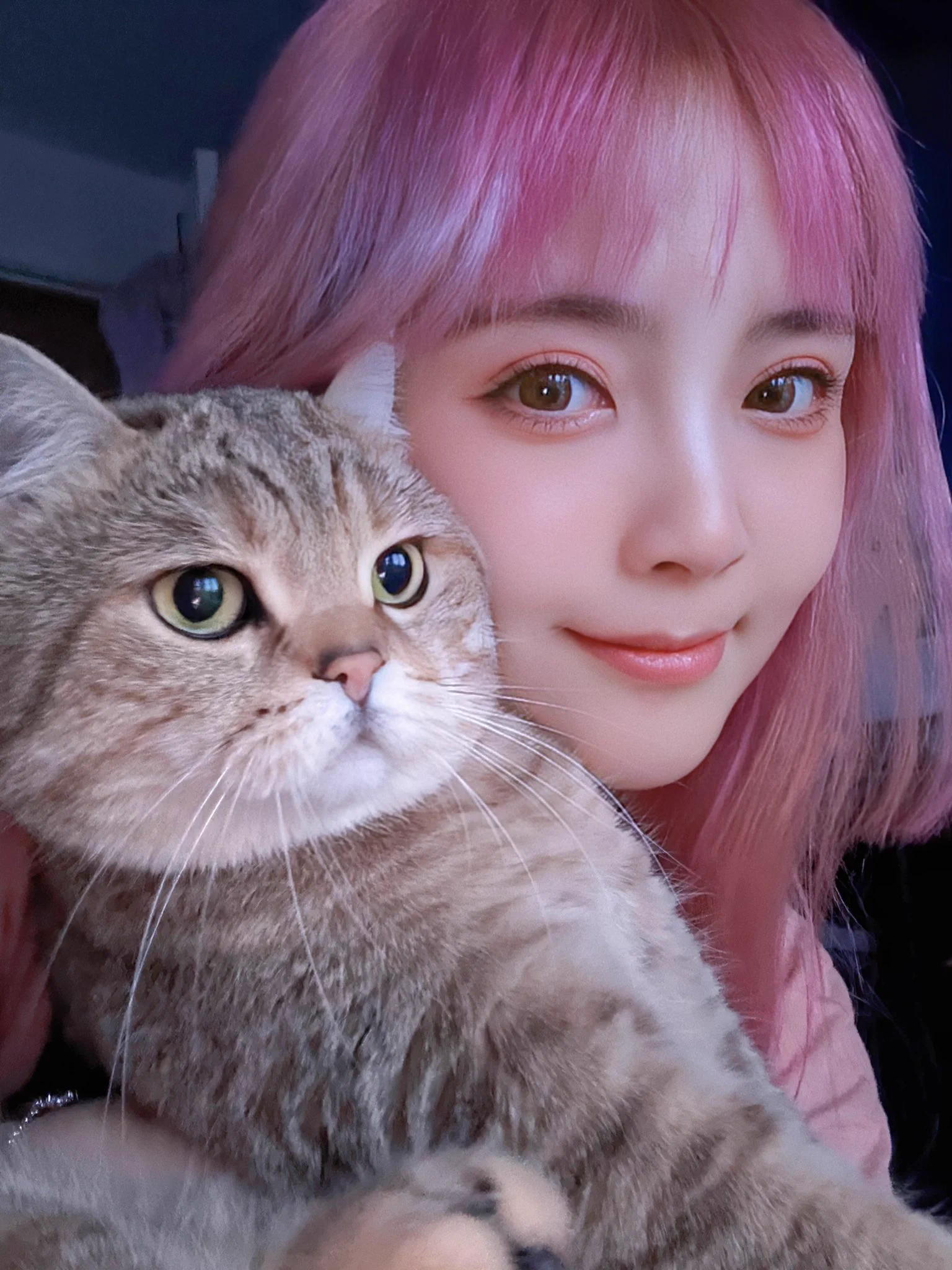 守护全世界最好的云烧和土豆 https://t.co/X8ZeFLMFvZ