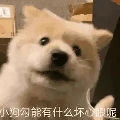 我真的会假装和你玩sm，然后把你往死里打，贱人（特指傻逼） https://t.co/unjo915eVN