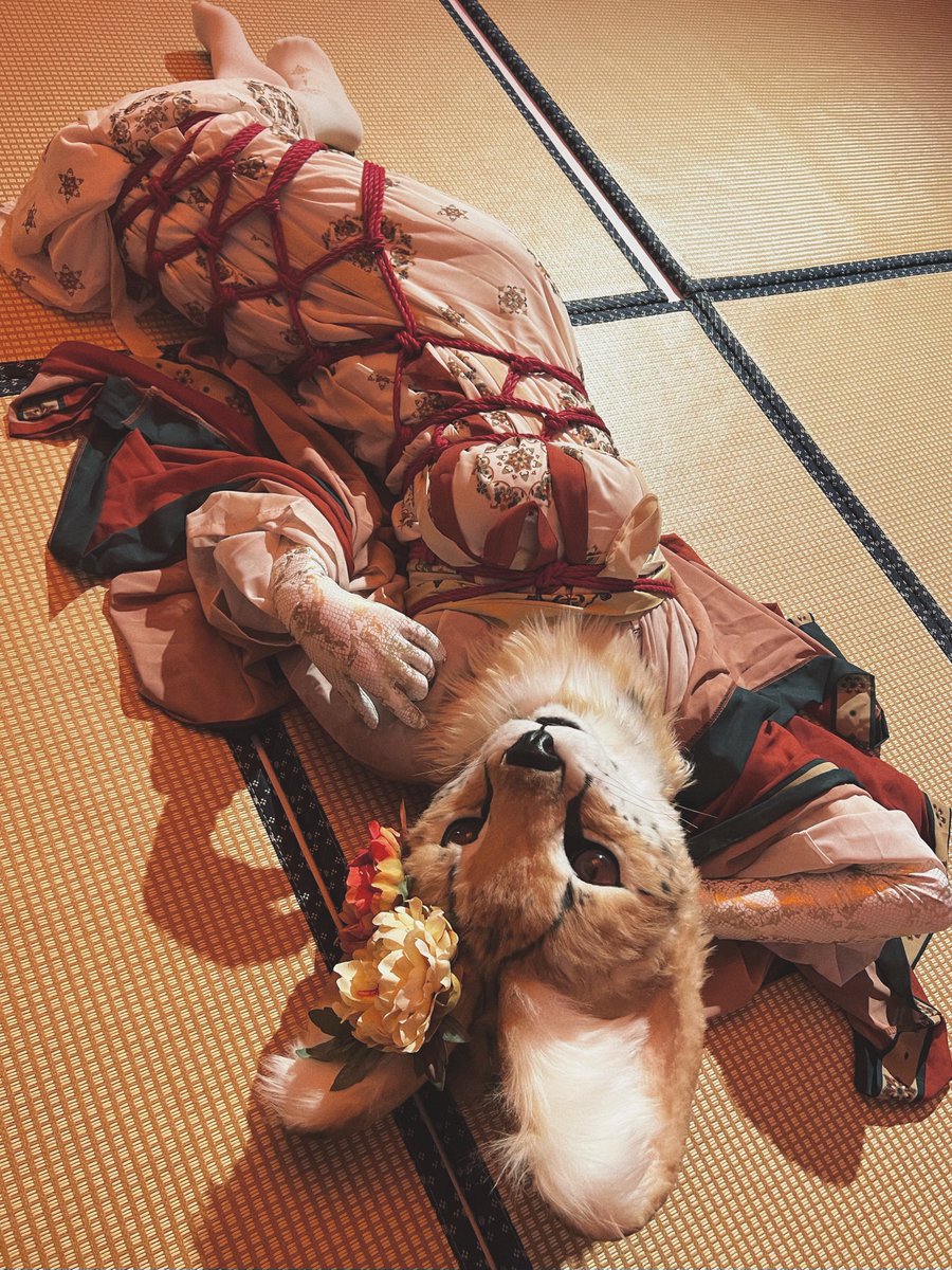 📸@fishmimi
Rope Bandage @ChamberHuijing &amp; 社长
✂️@suolaxierr

#fursuit #fursuitfriday #furry https://t.co/Rwfl9INjyZ