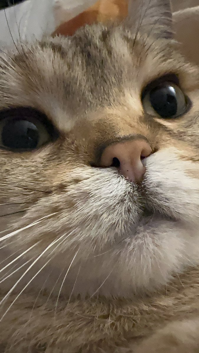 @WQueeine 天天都在亲呢 https://t.co/WorQFfLN0E