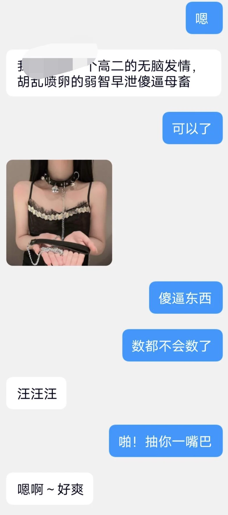 今天就简单的放两个狗狗一部分的聊天记录吧～诶嘿～应该没有人看吧 https://t.co/ptWUhuxzVx