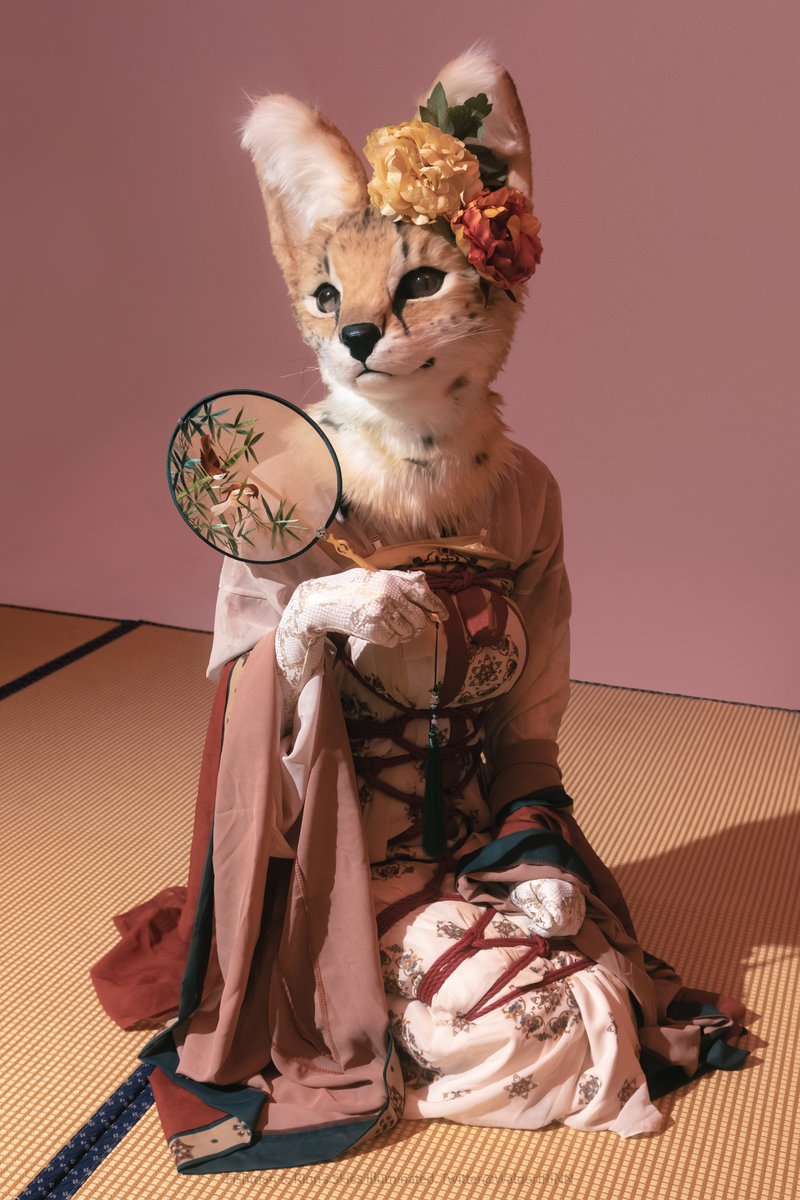 Your majesty…?

#furry #fursuit #FursuitFriday #FursuitEveryday https://t.co/eUDDM4rHZL