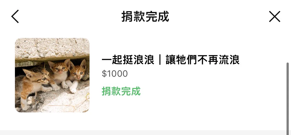 6月份捐款已完成❤️謝謝每個有支持茹的浪浪謝謝大家🙏 https://t.co/Tk9n7hBSq0