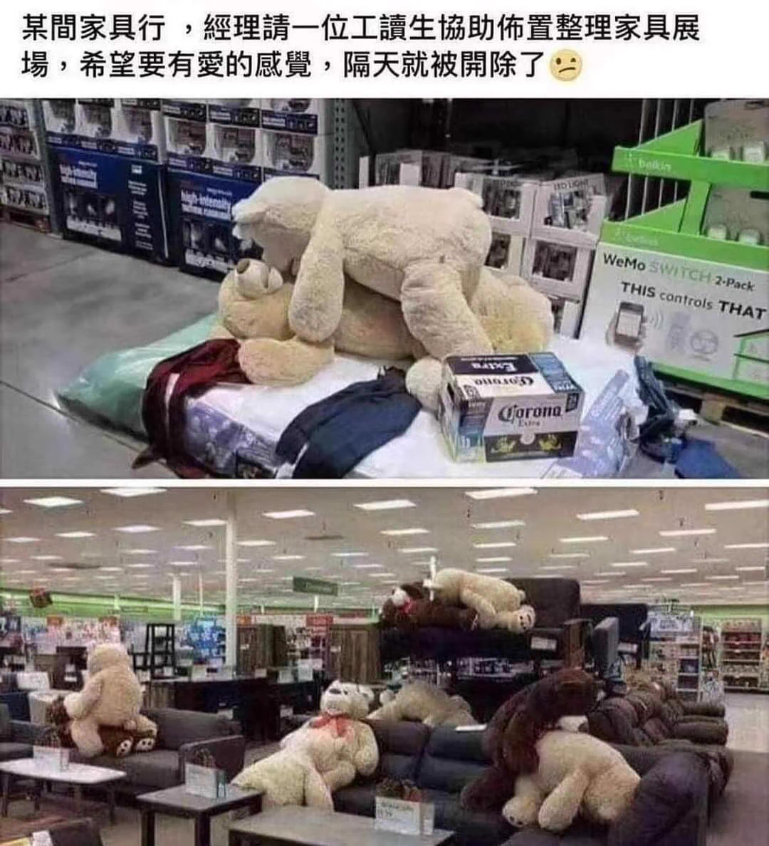看起來真的超有愛的🥹
連熊都比我性福qq https://t.co/ANOSmUg8aA