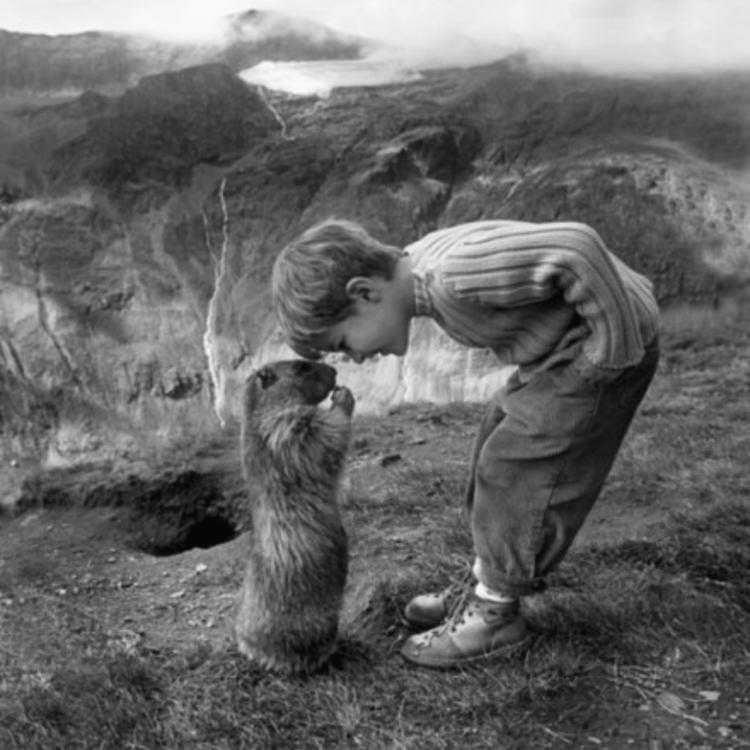 Hit the farmers market and came home with fresh peach💐es, tomato🌟es, and homemade jam. Can’t wait to cook with these!  LocalEats https://t.co/pD2Ub7SLeD