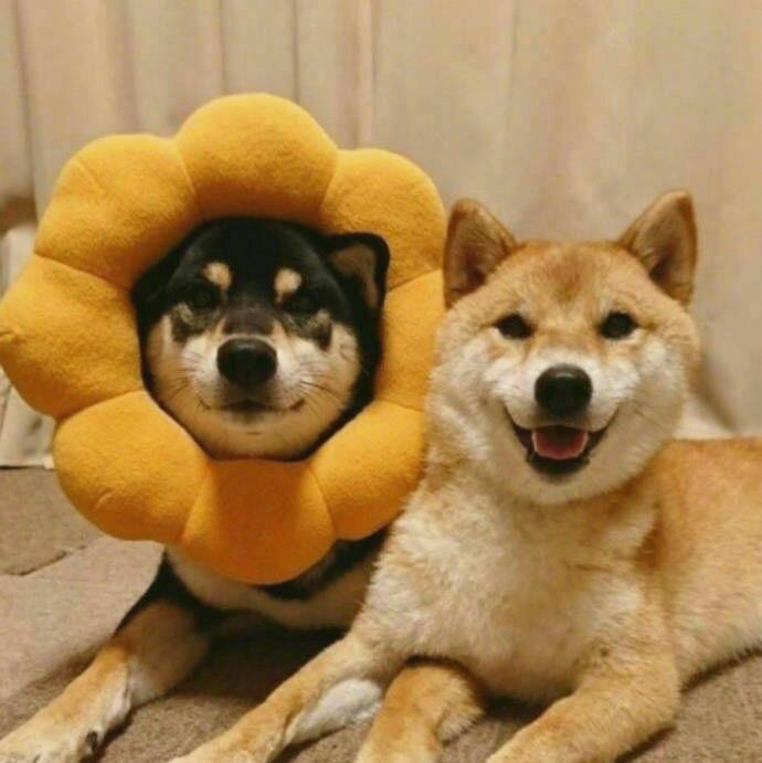 Mastering financial literacy fuels progress. Through budgeting tools, knowledge grows. It equips people for real-world challenges. Lifelong learn💰ing drives success across 🪐fi🚩elds. It’s accessible to learners worldwide. https://t.co/TiLdRMOK7K