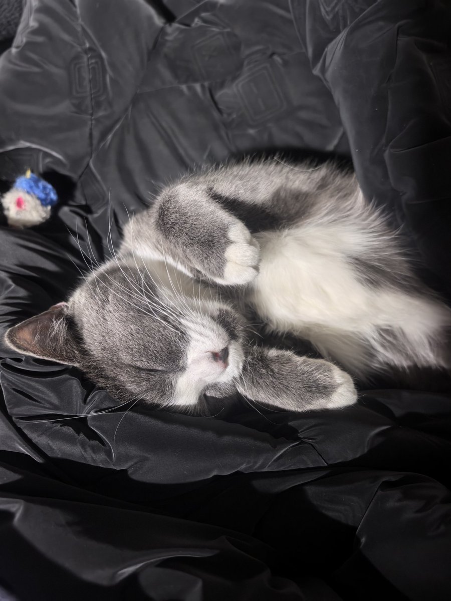 在下过两周去烟台玩。 https://t.co/DClZEUiNF1