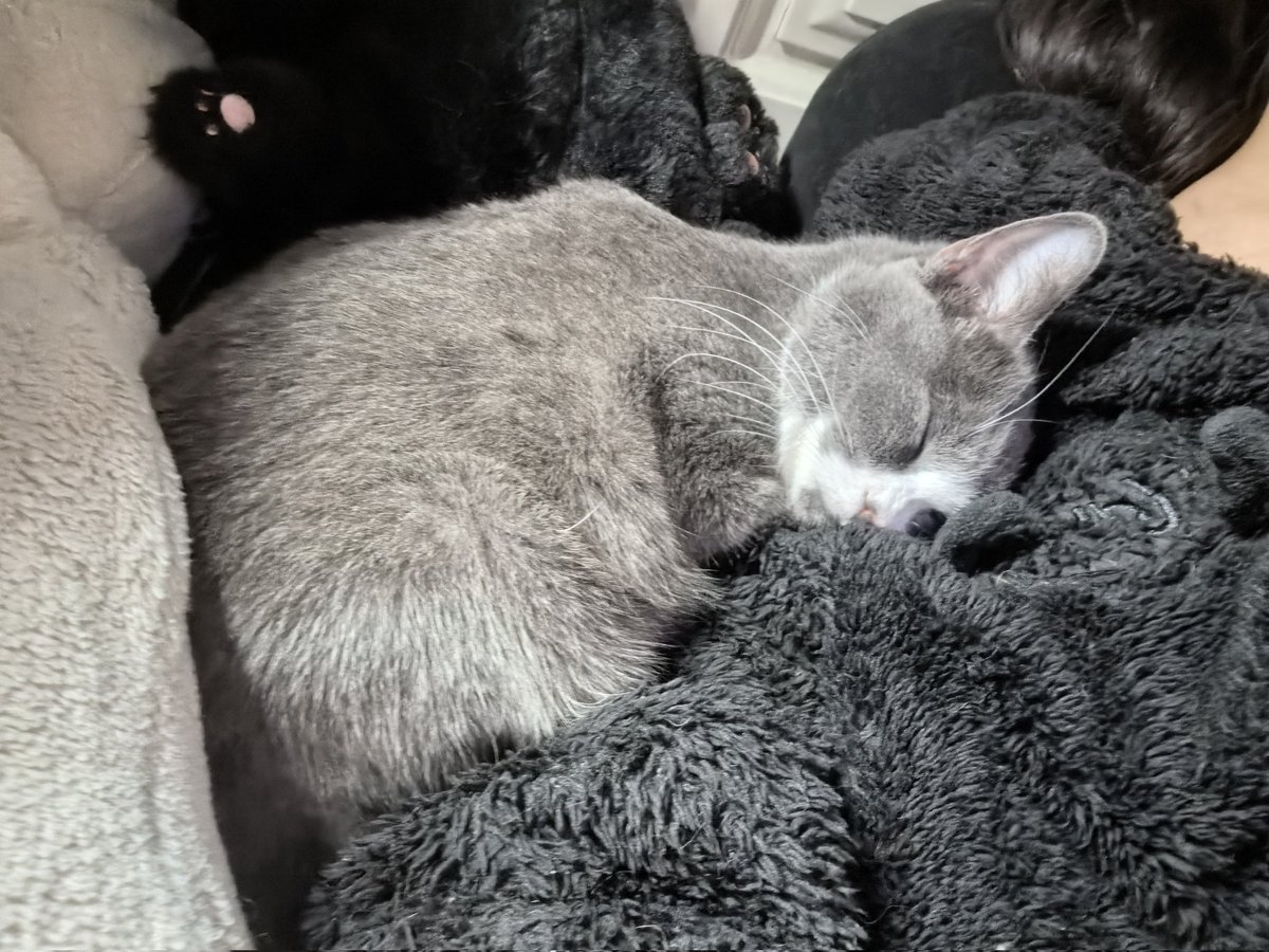 在下过两周去烟台玩。 https://t.co/DClZEUiNF1