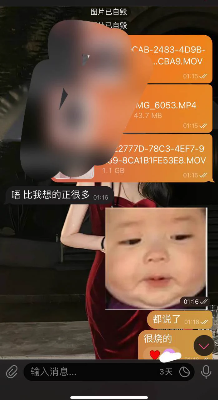近期好评 无论是🚪哥还是Vip 
宝宝都会好好对待不会冷淡呢
互相信任 感谢支持！！ https://t.co/sbSwbfykq2