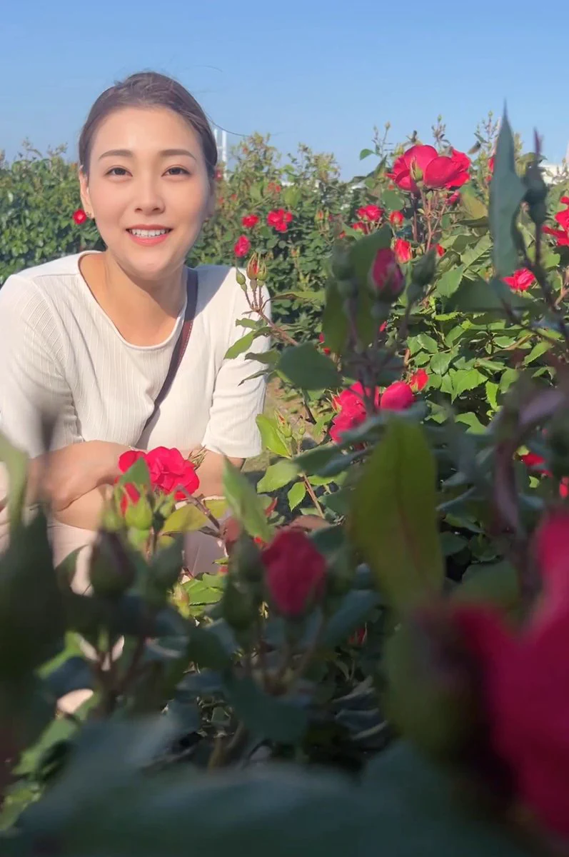 お花越しに🌹 https://t.co/jg53yIDvcc