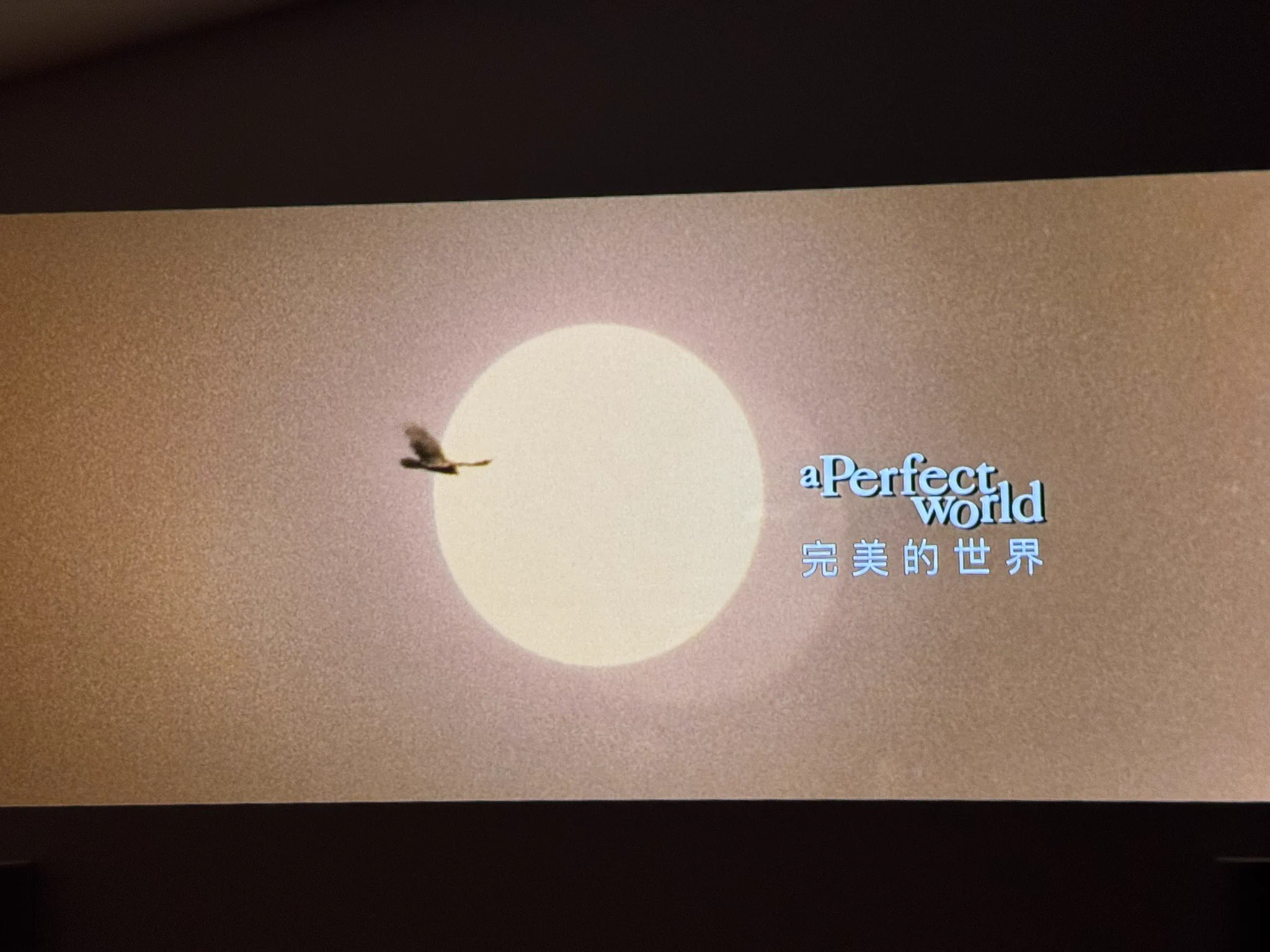 时隔五年多，又看了一次《完美世界》，真的好看。 https://t.co/l79mIWh3oi