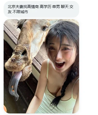 北京夫妻，找个高情商，高学历，交友不限城市 有意向者来 https://t.co/W6jLHZ3PN8