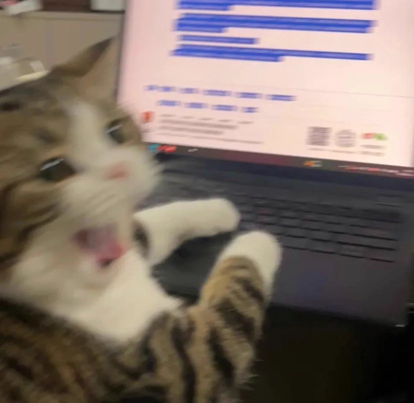 AAAAAAAAAAAAAA https://t.co/WnMpfyT3ha