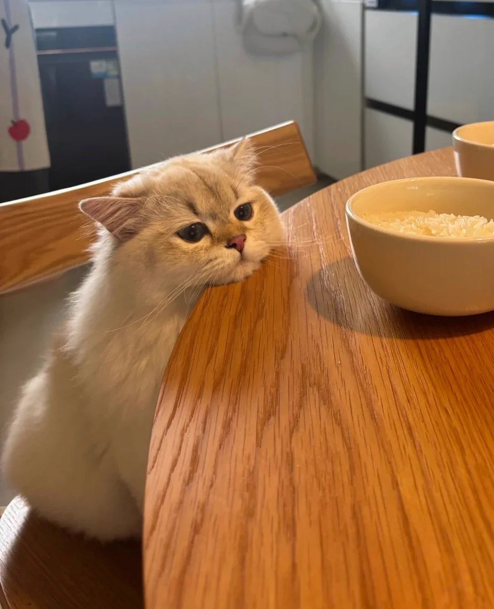 🙁 https://t.co/AKz0V60AMd