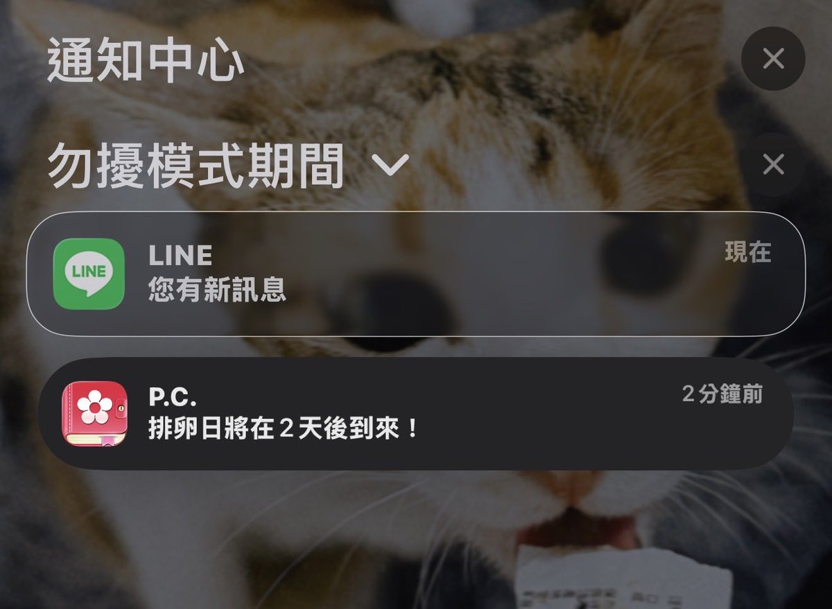 回到被排卵支配慾望的狀態了😵‍💫 https://t.co/IaXrkkmqjL