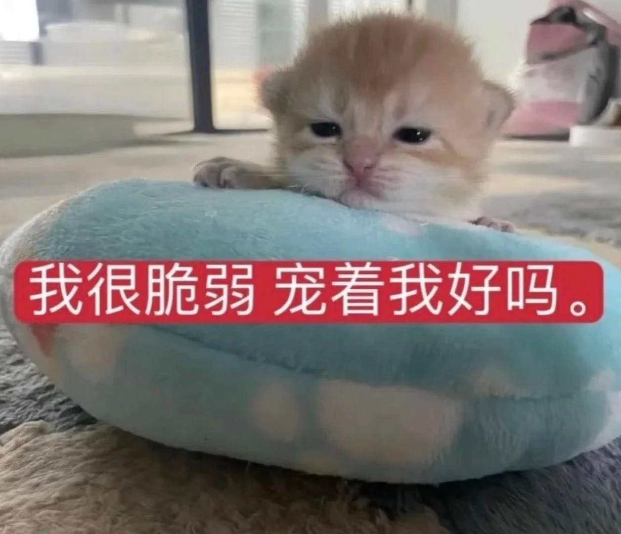 推特发私信闲聊的别打扰我别打扰我别打扰我别打扰我别打扰我别打扰我别打扰我别打扰我别打扰我别打扰我别打扰我别打扰我别打扰我别打扰我别打扰我别打扰我 https://t.co/MoQFrSbJc9